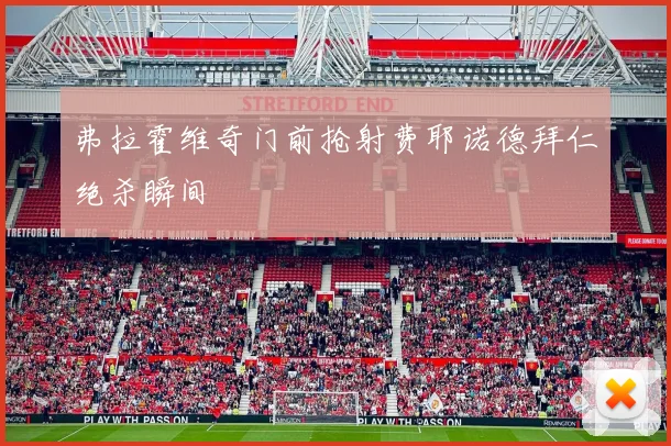 弗拉霍维奇门前抢射费耶诺德拜仁绝杀瞬间