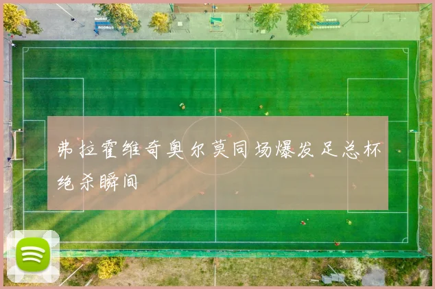 弗拉霍维奇奥尔莫同场爆发足总杯绝杀瞬间