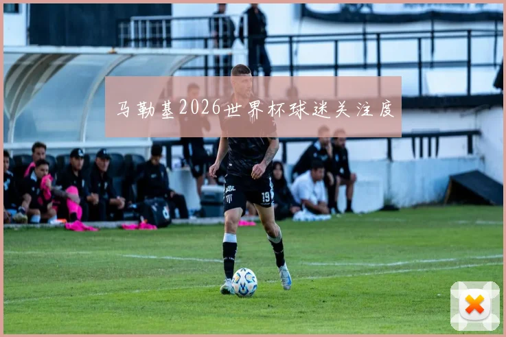 马勒基2026世界杯球迷关注度