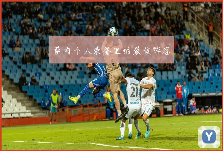 萨内个人荣誉里的最佳阵容