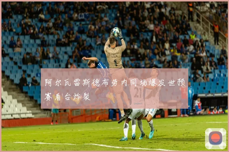 阿尔瓦雷斯德布劳内同场爆发世预赛看台炸裂
