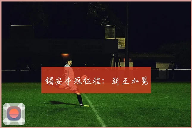 锡安夺冠征程：新王加冕