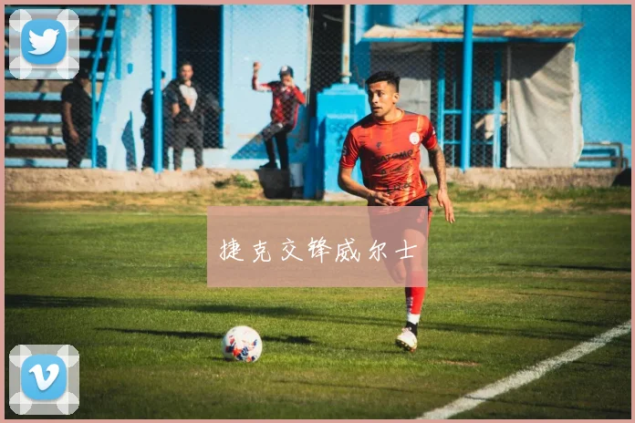 捷克交锋威尔士