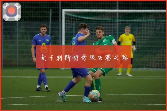 麦卡利斯特晋级决赛之路