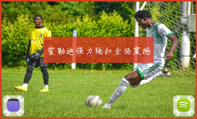 霍勒迪强力隔扣全场震撼