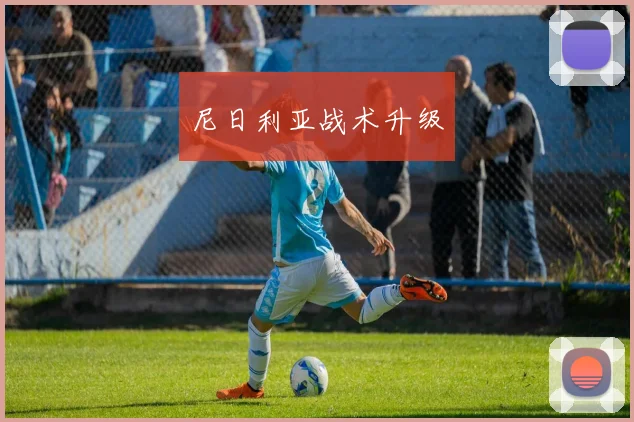 尼日利亚战术升级