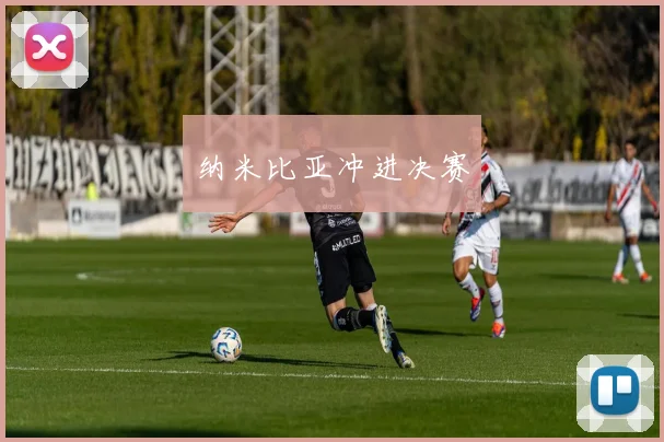 纳米比亚冲进决赛