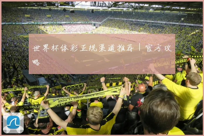 世界杯体彩正规渠道推荐｜官方攻略