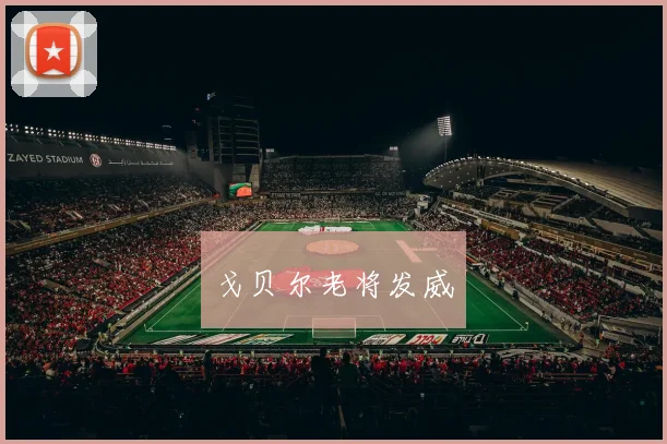 戈贝尔老将发威