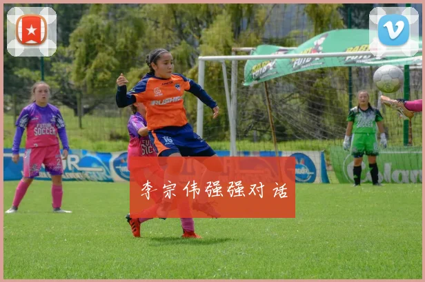 李宗伟强强对话