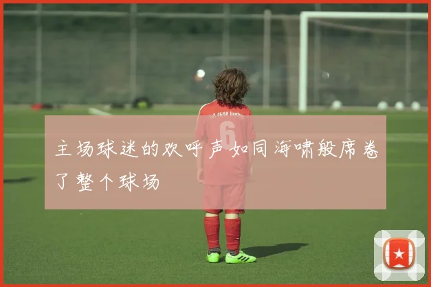 主场球迷的欢呼声如同海啸般席卷了整个球场