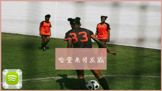 哈登老将发威