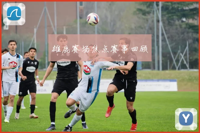 雄鹿赛场焦点赛事回顾