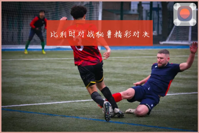比利时对战秘鲁精彩对决
