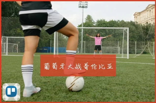 葡萄牙大战哥伦比亚