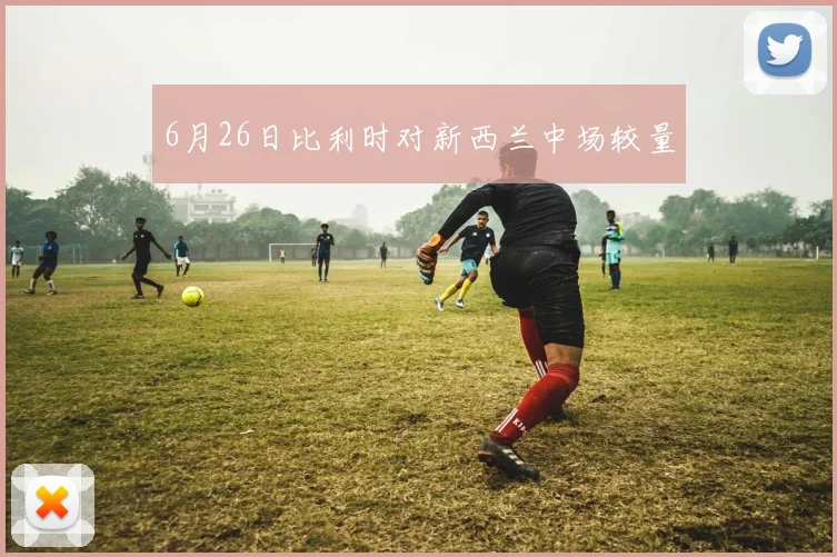6月26日比利时对新西兰中场较量