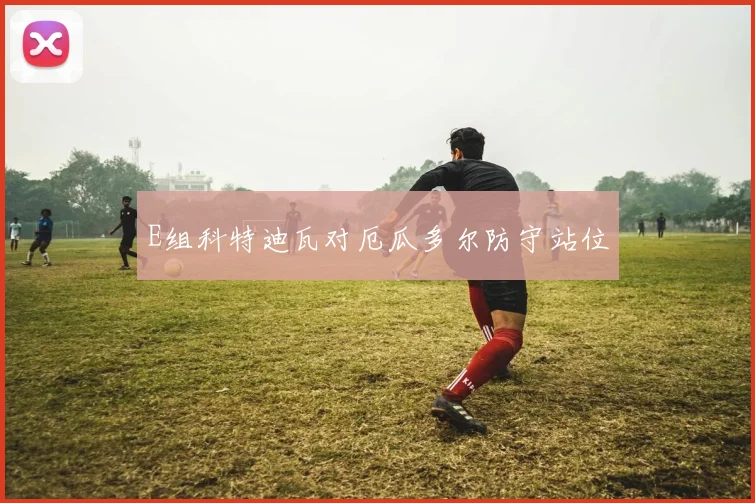 E组科特迪瓦对厄瓜多尔防守站位