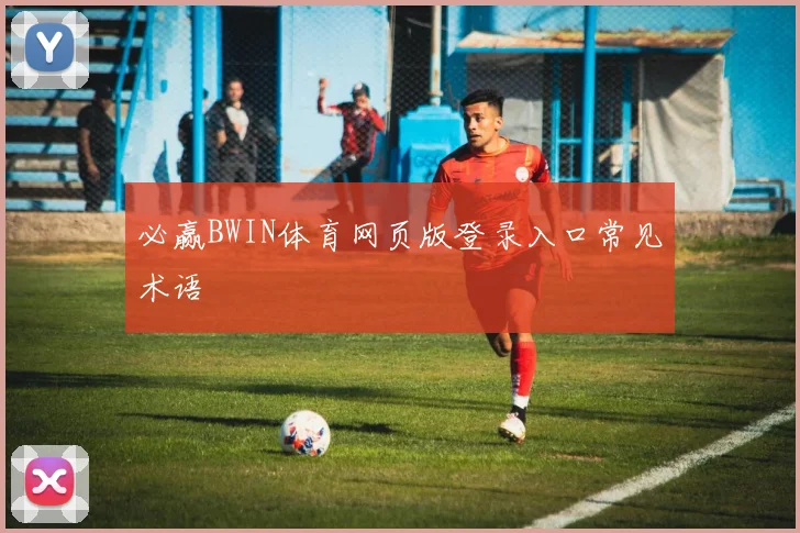 必赢BWIN体育网页版登录入口常见术语